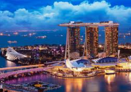 新葡萄(8883·AMG)2024最新版