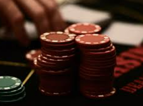 新葡萄(8883·AMG)2024最新版